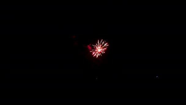 Petit élément de feu d'artifice sur fond noir pour créer un ensemble de saluts . — Video