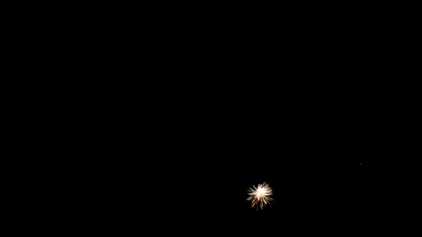 Kleines Feuerwerk auf schwarzem Hintergrund, um eine Reihe von Salutschüssen zu erzeugen. — Stockvideo