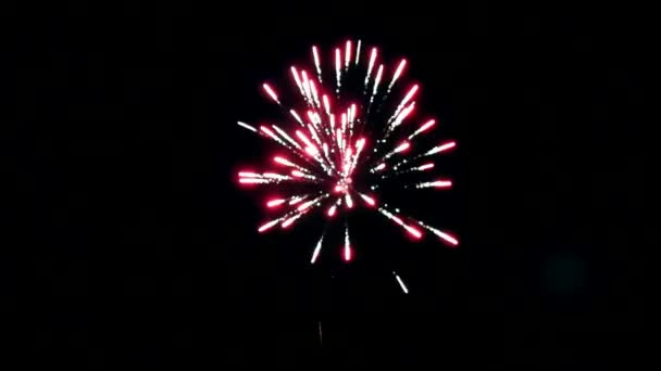 Explosión de brillante parte colorida de fuegos artificiales sobre fondo negro . — Vídeo de stock