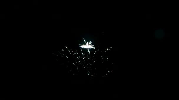 Bang of part of fireworks on black background. — Stockvideo