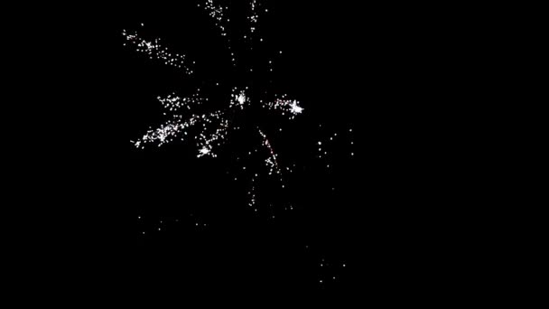 Élément de feux d'artifice sur fond de ciel noir .