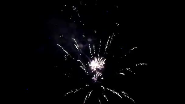Elemento di fuochi d'artificio su sfondo di cielo nero . — Video Stock