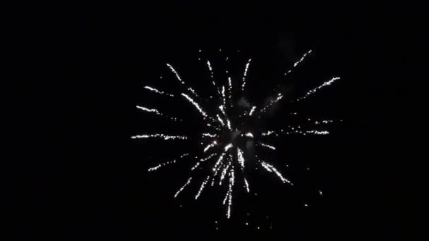Explosión de brillante parte colorida de fuegos artificiales sobre fondo negro . — Vídeos de Stock