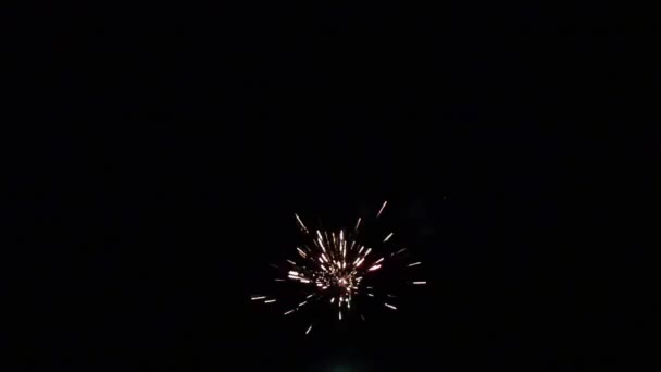 Element of multicolored firework on black background to create a set of salutes. — Stock Video