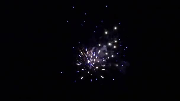 Element aus buntem Feuerwerk auf schwarzem Hintergrund, um eine Reihe von Salutschüssen zu erzeugen. — Stockvideo