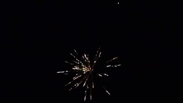 Explosão de parte colorida brilhante de fogos de artifício no fundo preto . — Vídeo de Stock