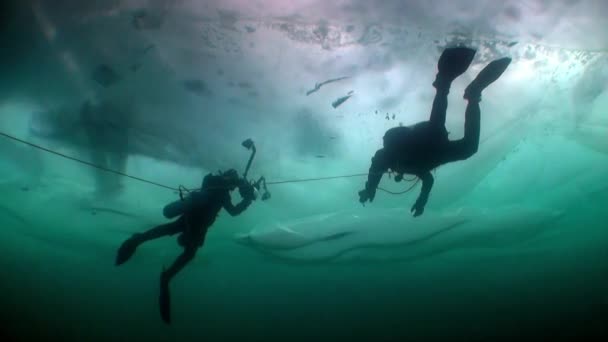 Camarógrafo submarino con cámara y buzo técnico bajo el hielo del lago Baikal. — Vídeos de Stock