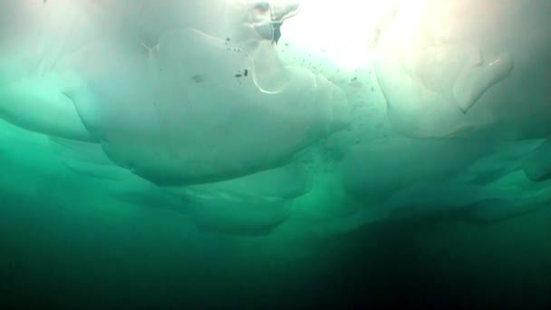 Underwater landscape under turquoise ice of lake Baikal. — Stock Video