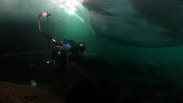 Tauchkameramann unter Eis im kalten Wasser des Baikalsees. — Stockvideo