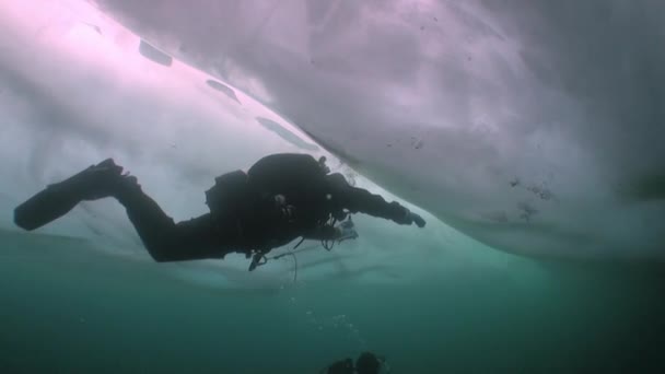 Δύτης κάτω από πάγο στο φόντο της υποβρύχιας λίμνης Baikal. — Αρχείο Βίντεο