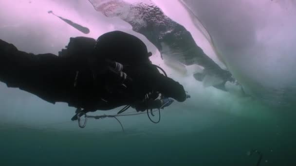 Baykal Gölü 'nün soğuk sularında buzun altında dalgıç.. — Stok video