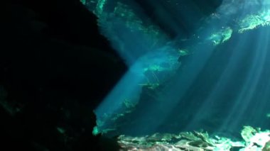 Yucatan Meksika 'daki su altı mağaralarındaki kayalıklarda güneş ışığı.