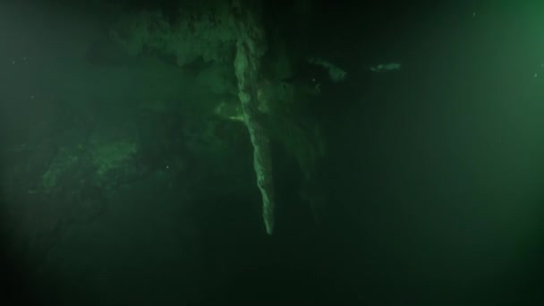 Barlang búvárkodás sáros vízben haloklin cenotes Mexikóban. — Stock videók