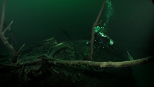 Buceador sobre agua fangosa de haloclina cerca de raíces de árboles en cenotes en México . — Vídeos de Stock