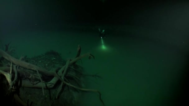 Diver scompare in acque fangose di halocline nei cenote in Messico . — Video Stock