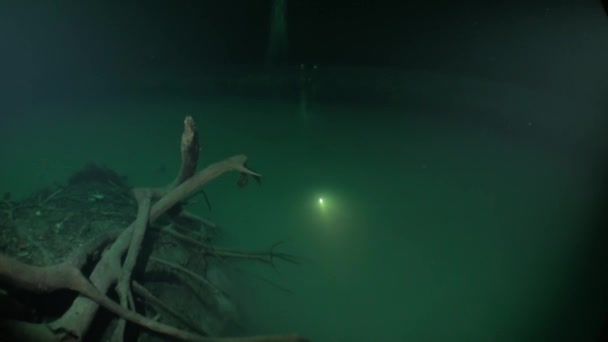 ダイバーは、メキシコの中心部のハロカインの濁った水の中に消えます. — ストック動画