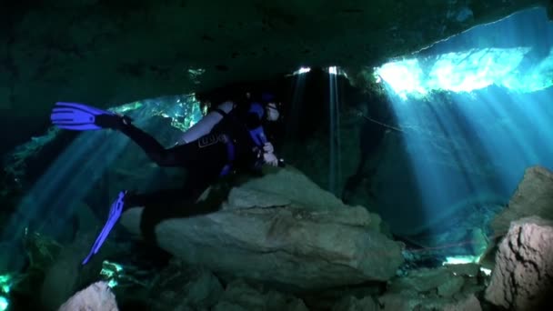 Buceadores en cueva de cenotes submarinos de Yucatán México. — Vídeo de stock