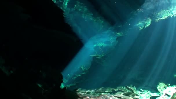 Solljus i stenar i undervattensgrottan Yucatan Mexico cenotes. — Stockvideo