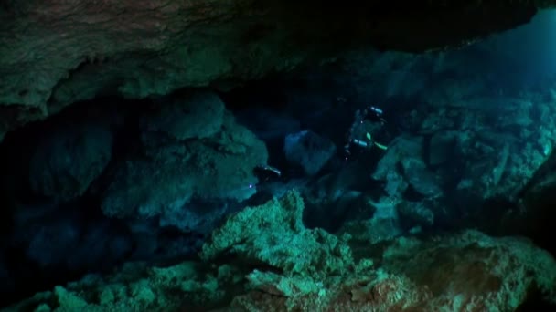 Vy från under klart vatten till träd och träd rötter och stråle av solar i cenotes. — Stockvideo