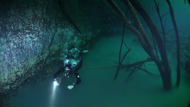 세노테 나무뿌리 근처에서 반시뱀을 타고 있는 잠수부들. — 비디오