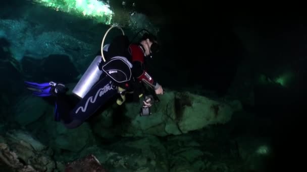 Dykking under vann i kenotter fra Yucatan Mexico. – stockvideo