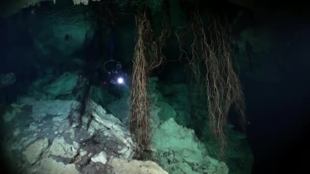 Nurkowanie pod wodą w Yucatan Meksyk cenotes. — Wideo stockowe