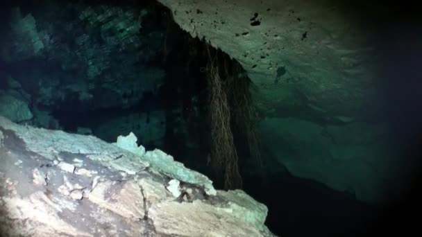 Подводная пещера мексиканских кенотов Юкатан . — стоковое видео