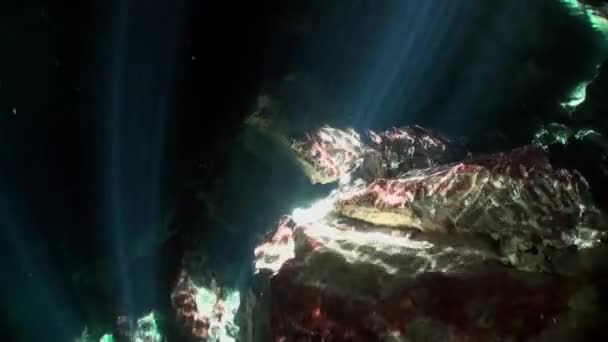 Kamienie w promieniach słonecznych podwodnej jaskini Yucatan Meksyk cenotes. — Wideo stockowe