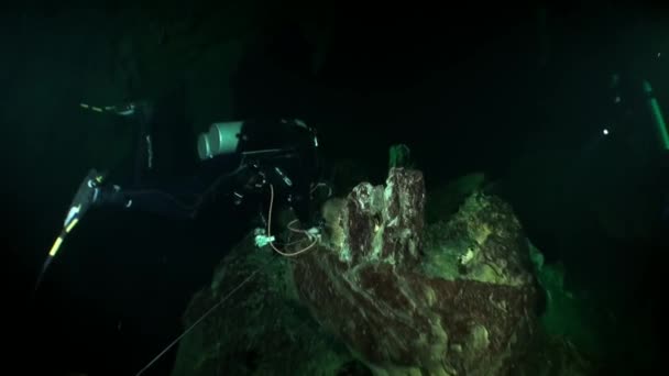 멕시코의 유카탄 해저 의물 속에서 동굴을 파는 모습. — 비디오