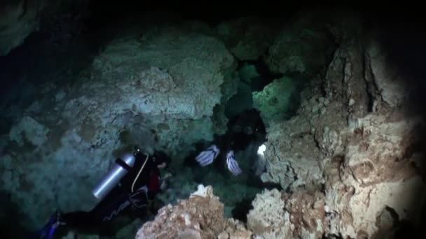 Buceo en aguas subterráneas de cenotes submarinos de Yucatán México . — Vídeos de Stock