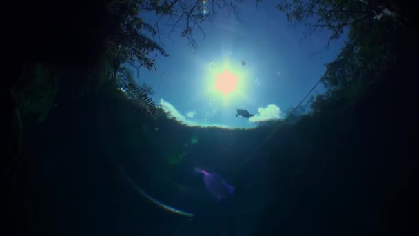 Jasné slunce pohled zpod vody v podzemní jeskyni Yucatan Mexiko cenoty. — Stock video