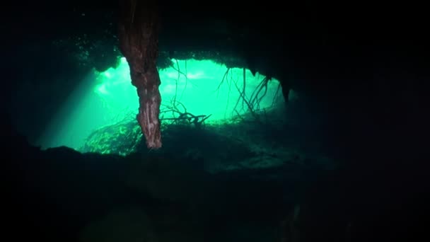 Radici degli alberi nella grotta sottomarina Cenote dello Yucatan Messico . — Video Stock