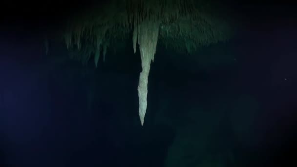Barlang búvárkodás víz alatti Yucatan Mexikó cenotes. — Stock videók