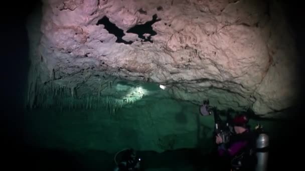 Vista da sotto l'acqua limpida agli alberi e alle radici degli alberi e raggio di soli nei cenoti . — Video Stock