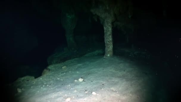 Yucatan Meksika 'nın yeraltı sularında mağara dalışının güzelliği. — Stok video