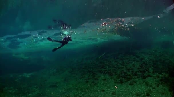 Vista desde aguas cristalinas a árboles y raíces de árboles y rayos de sol en cenotes . — Vídeo de stock