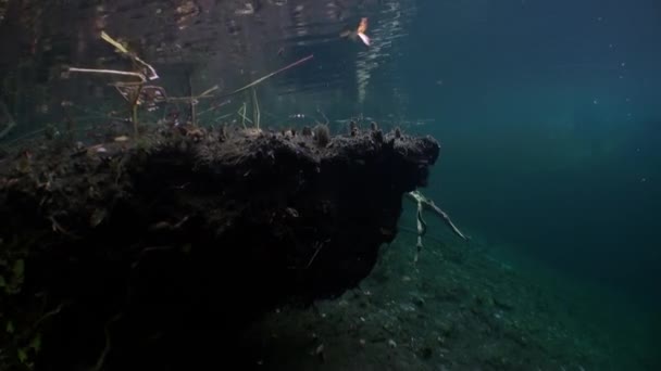Natural landscape of underwater Yucatan Mexico cenotes. — Stockvideo