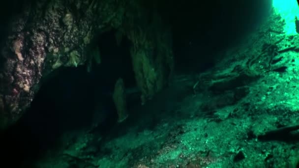 Beauty of cave of underwater Yucatan Mexico cenotes. — стокове відео