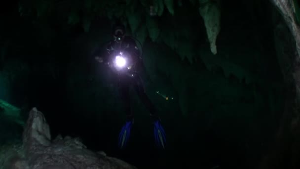 Δύτης κάτω από σταλακτίτες παγοκρύσταλλοι σε σπηλιά στο υποβρύχιο Μεξικό cenotes. — Αρχείο Βίντεο
