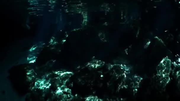 Piękno jaskini w podwodnych Yucatan cenotes Meksyku. — Wideo stockowe