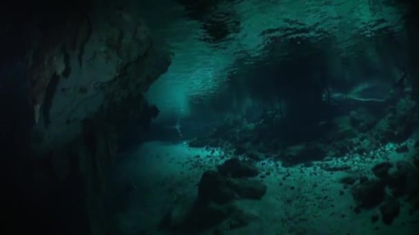 Краса печерних дайвінгів у підземних водах під водою Юкатан Мексика сенотизує. — стокове відео
