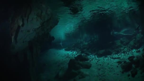 Skönhet grottdykning i undervattensvatten Yucatan Mexiko cenotes. — Stockvideo