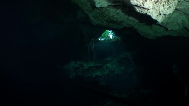 수중의 아름다운 동굴 멕시코 세노테. — 비디오