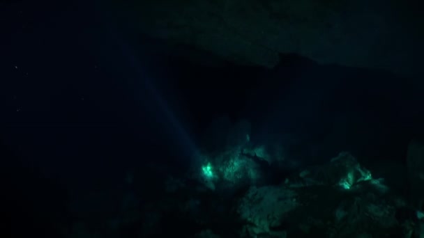 Schoonheid van de grot in onderwater Yucatan Mexico cenotes. — Stockvideo