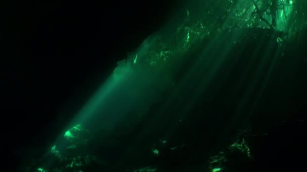 Potápěči v jeskyni pod vodou Yucatan Mexiko cenoty. — Stock video