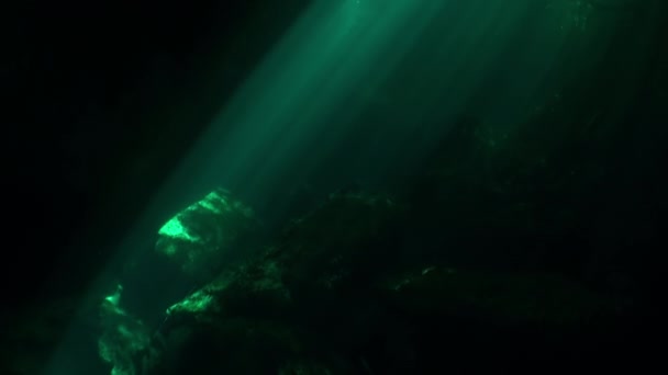 Buceadores en cueva de cenotes submarinos de Yucatán México. — Vídeos de Stock