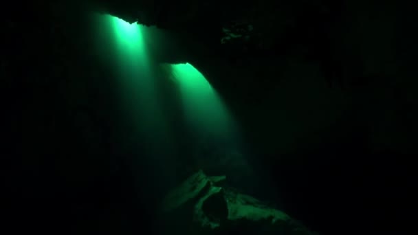 Nurkowie w jaskini pod wodą Yucatan Meksyk cenotes. — Wideo stockowe