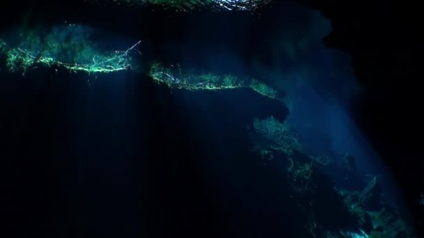 Szépsége barlang víz alatt Yucatan Mexikó cenotes. — Stock videók
