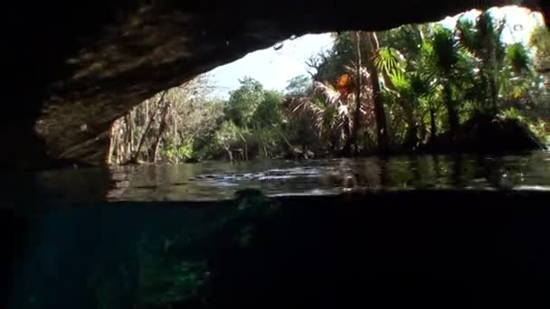 Schoonheid van de grot in onderwater Yucatan Mexico cenotes. — Stockvideo