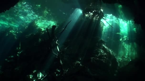 Солнечные лучи под водой в подземных пещерах мексиканских сенотов Юкатан . — стоковое видео